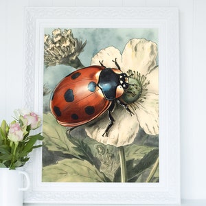 Ladybird on a White Flower Wall Art, Watercolor Bug Print, Illustration Cottagecore Printable Decor, Instant Digital Download