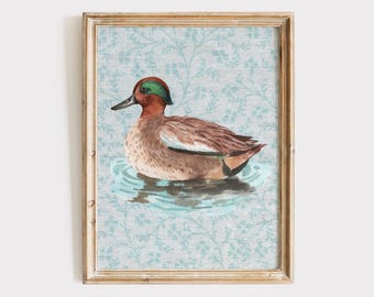Vintage Duck Art Print, Duck Print, Cottagecore Decor, Cottagecore Art, Green-winged Teal Duck Wall Art