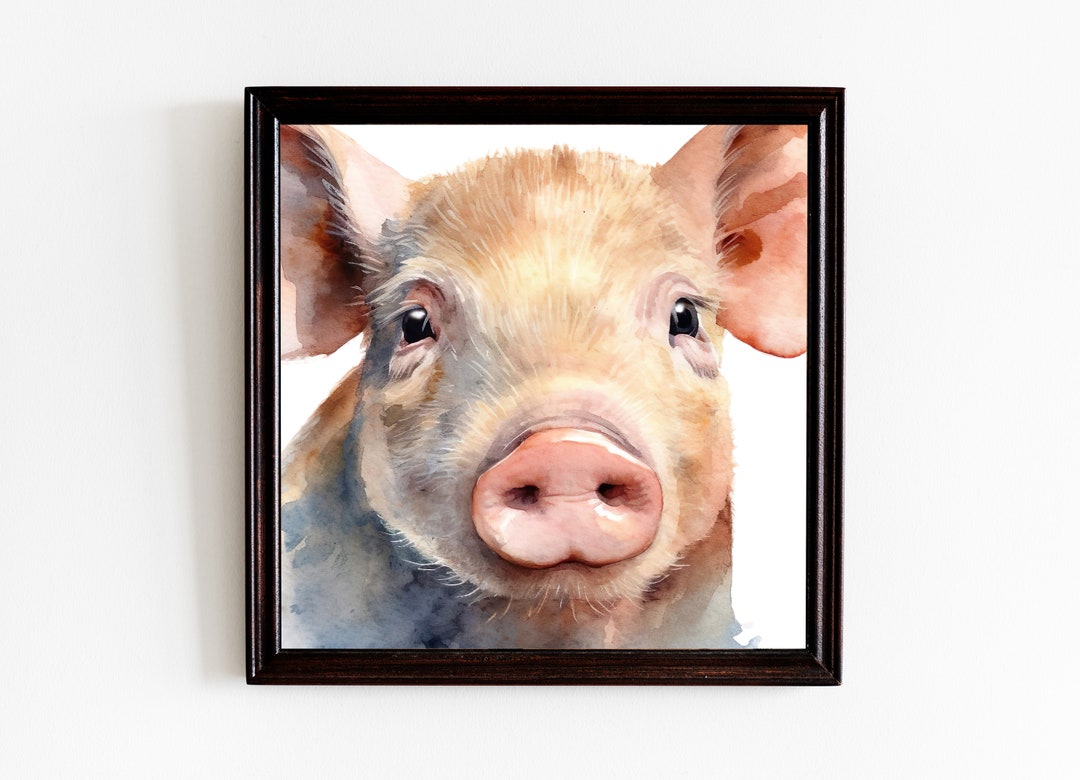 Pig Face Close up Wall Art Full Color Black and White and Etsy