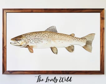 Speckled Trout Wall Art Trout Painting Fish Art Printable Nature Digital Download Vintage Illustration Fishing Seaside Cottagecore Art Print