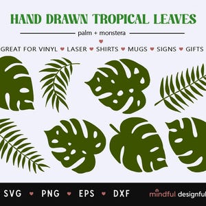 May include: A collection of hand-drawn tropical leaves in various shapes and sizes, including palm and monstera designs. The leaves are a dark green color and are suitable for vinyl, laser, shirts, mugs, signs, and gifts.