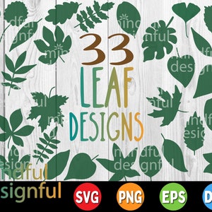 Leaf Svg Bundle | Leaves Svg | Leaves Clipart | Leaves Png | Palm Leaf Svg | Hand Drawn | Cut Files for Cricut Silhouette