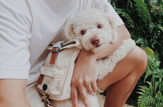 etsy dog backpack