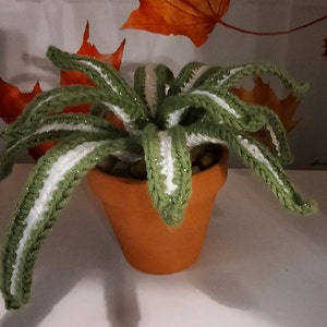 Faux Crochet Plant - Spider Plant