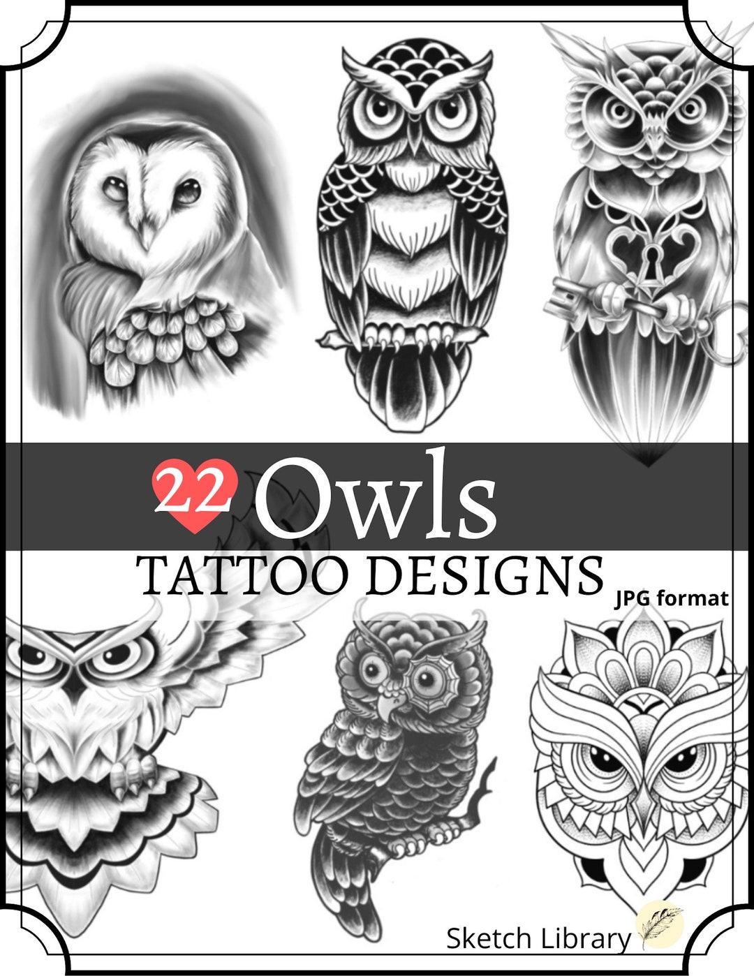 Barn owl Bird Drawing Illustration Black and White Owl Avatar white  painted animals png  PNGWing