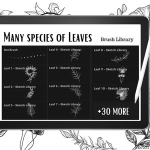 May include: A tablet screen displaying a digital art brush library for leaves. The screen shows a variety of leaf shapes and the text "MANY SPECIES OF LEAVES" and "Brush Library".