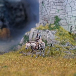 Heretic Hunter