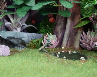 Rhapsode of the Emerald Forest