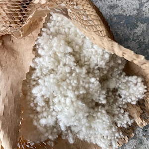 May include: A close-up of a white, fluffy material, likely wool, inside a brown paper bag with a honeycomb pattern. The material is loose and appears to be filling the bag.