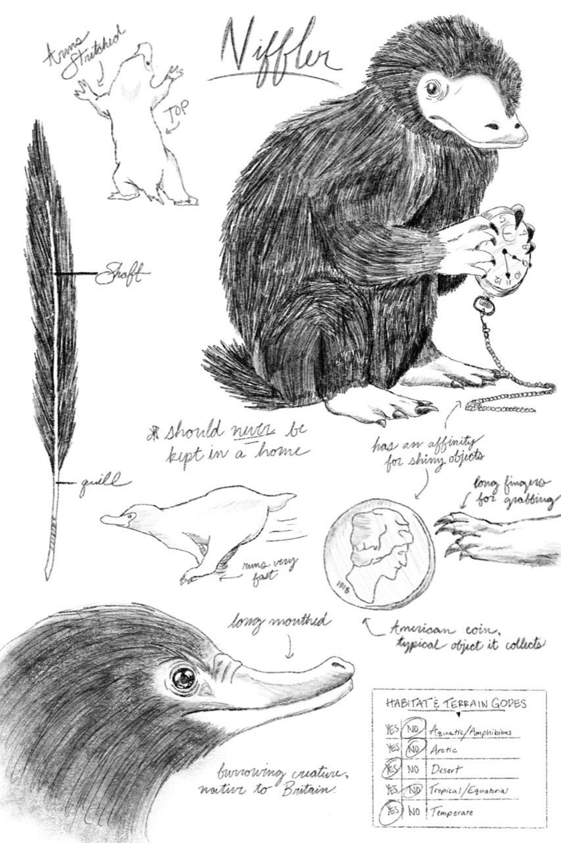 Niffler Bilder:  Learn to Draw with Magical Creatures!