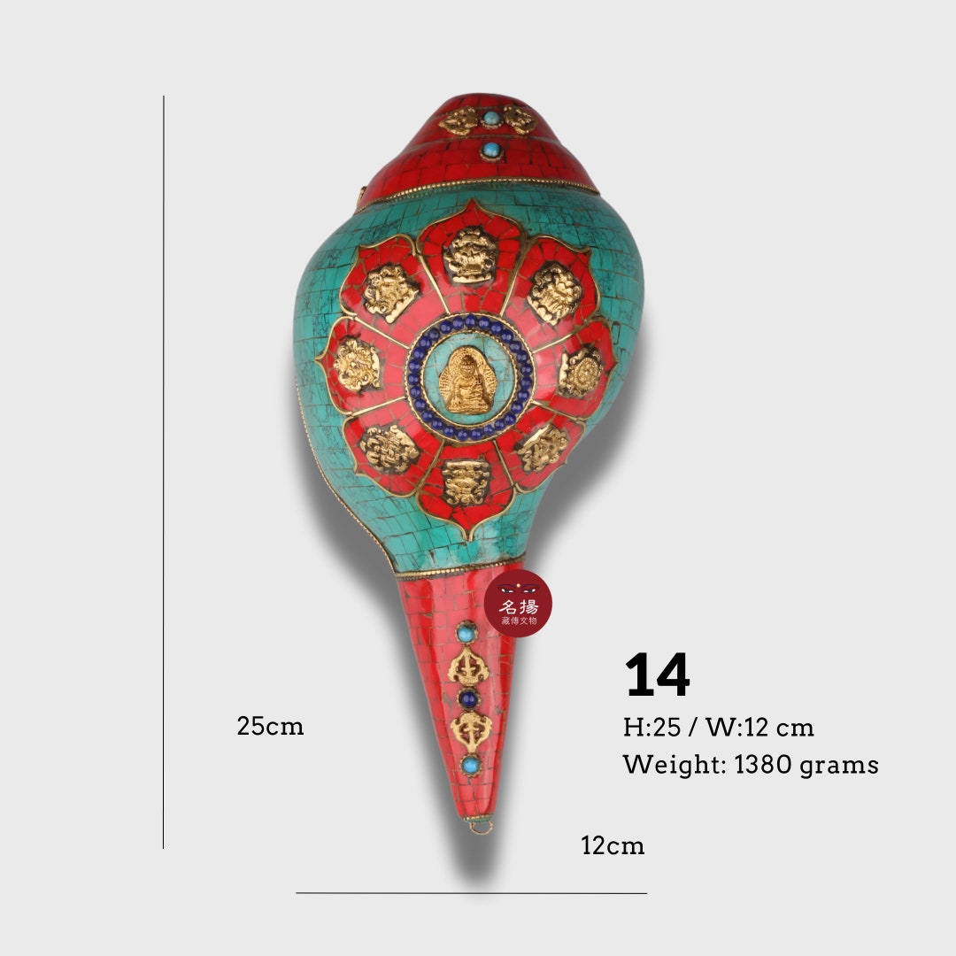 Big Shankha/ Conch Shell (#14) Tibetan Buddhist Ritual Instrument With ...