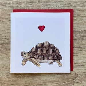 Tortues et carte coeur