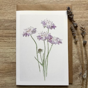 Scabiosa bloemenkaart
