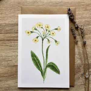 Bloemenkaart sleutelbloem
