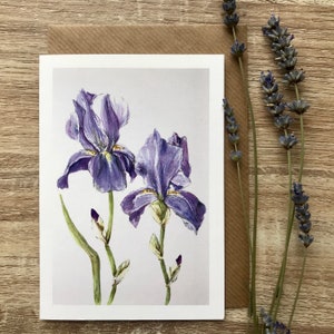 Karta Iris