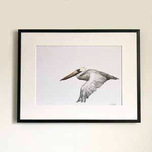 Brown Pelican Print