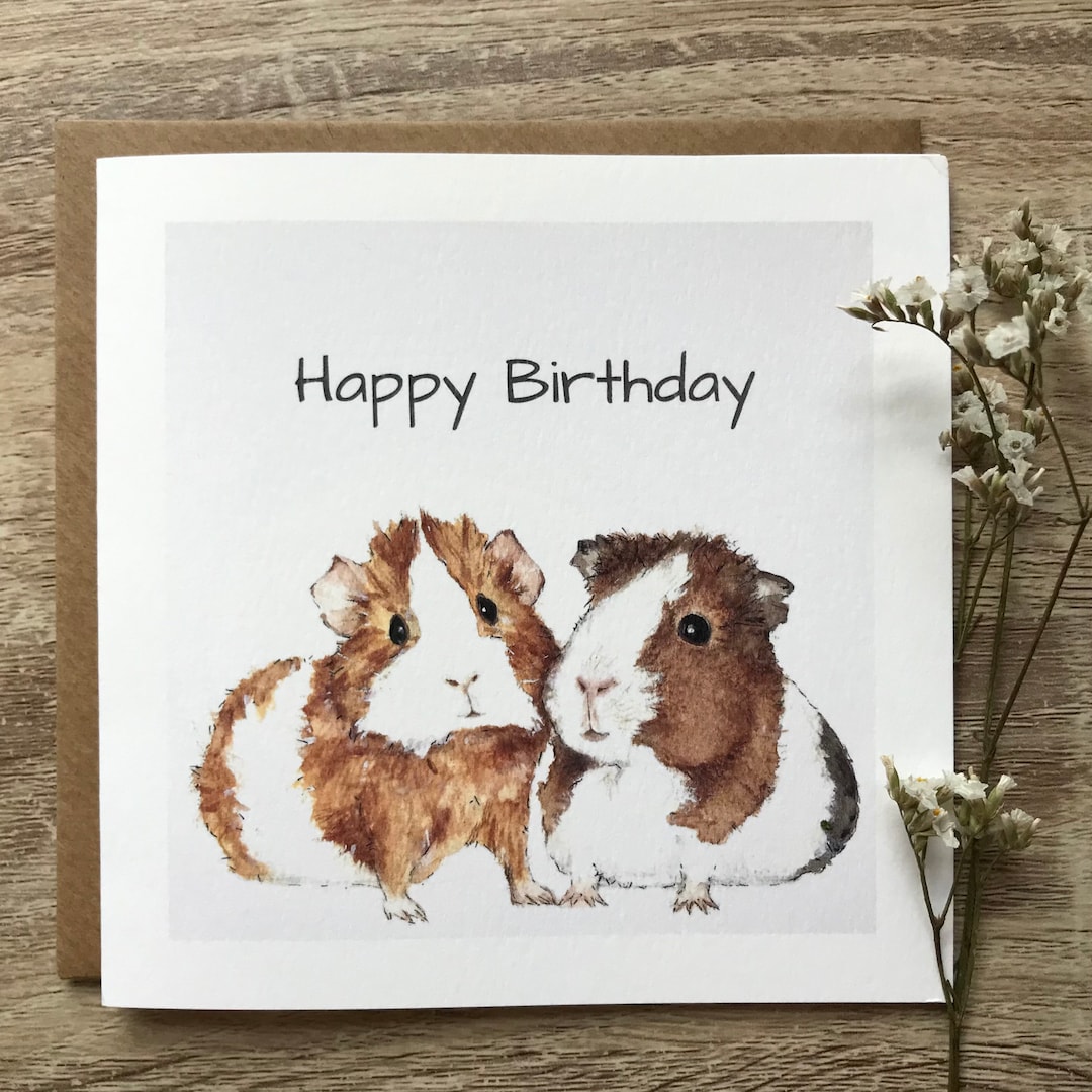 Guinea Pig Card - Etsy UK