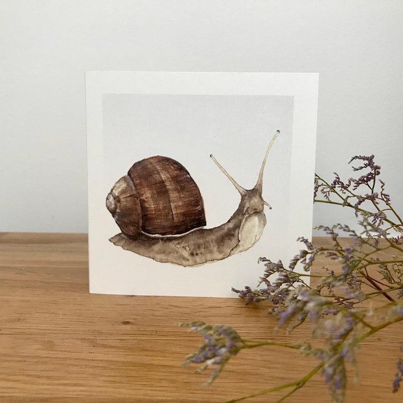 Snail Card Etsy UK