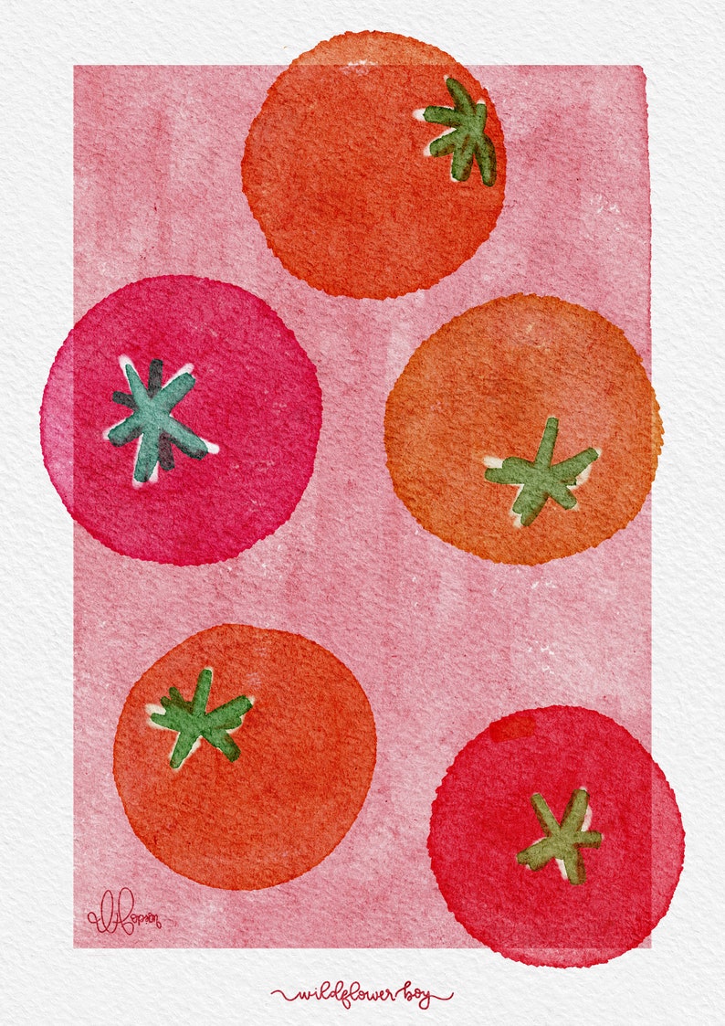 May include: Five watercolor painted tomatoes on a pink background. The tomatoes are red and orange and have green stems. The text 'wildflower boy' is written in cursive at the bottom of the image.