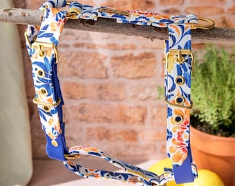 Harnais chien biothane imperméable – fait main – motif coloré – réglable – harnais en Y confortable – accessoire chien élégant