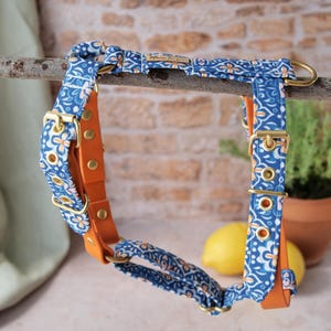Puede incluir: Arnés para perros azul y naranja con estampado floral. El arnés presenta hebillas metálicas doradas y detalles de cuero naranja. El arnés se muestra sobre una rama de madera, con un fondo de pared de ladrillo.
