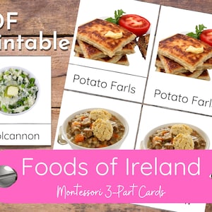 Foods of Ireland Montessori 3-teilige Karten Vokabular Lernkarte Aktivität für Geographie Lerneinheit / St. Patrick's Day / Geschichte und Kultur