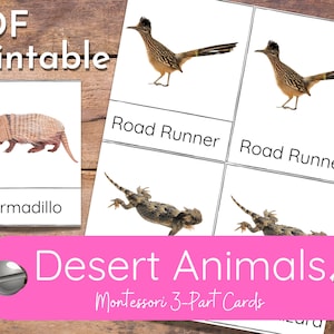 Desert Animals Montessori 3-Part Cards Flash Card Activity for Social Studies History Science Toob Hands-On Independent Learning Activity