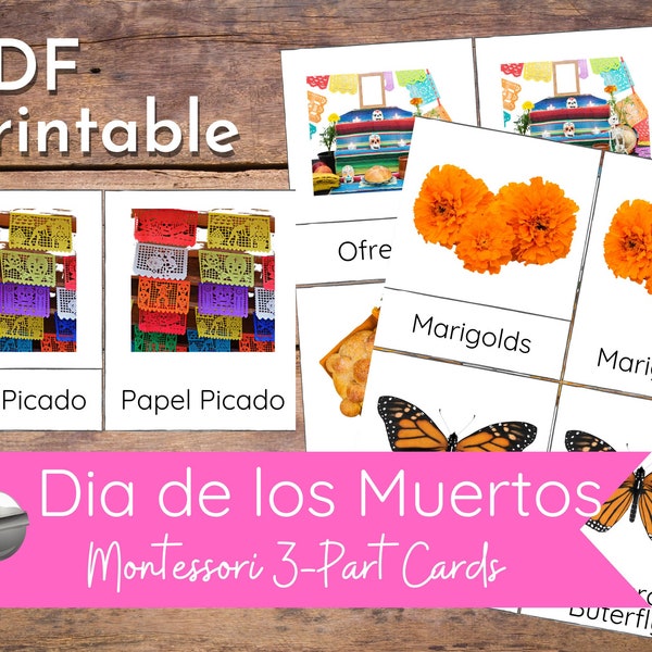 Dia de los Muertos Montessori 3-delige kaarten Nomenclatuurkaarten voor Taalkunst Eenheidsstudie, Centrum, Zelfstandige activiteit