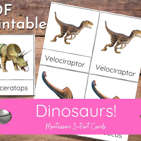 Dinosaur Montessori 3-Part Cards / Digital Download / Social Studies History Science Toob Hands-On Independent Learning Activity