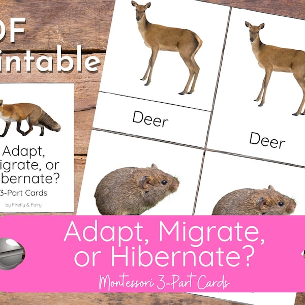 Adapt Migrate or Hibernate? North American Animals Montessori 3-Part Cards Homeschool Science Hands On Sorting Activity for Unit Study