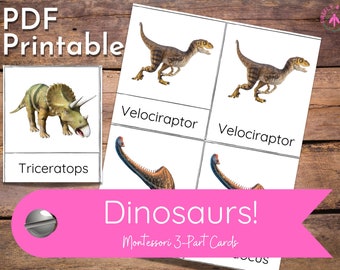 Dinosaur Montessori 3-Part Cards / Digital Download / Social Studies History Science Toob Hands-On Independent Learning Activity