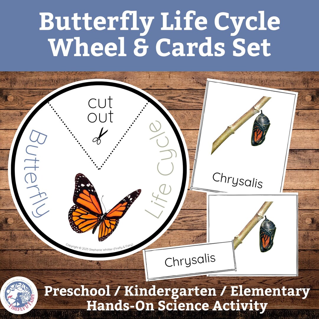 Butterfly Life Cycle Learning Bundle W Montessori 3 Part Nomenclature ...