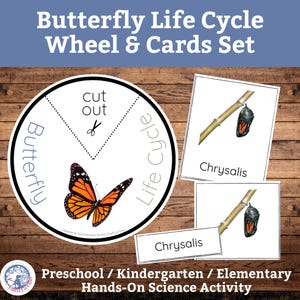 Ensemble d'apprentissage du cycle de vie des papillons avec cartes de nomenclature Montessori en 3 parties/activité scientifique imprimable/école maternelle primaire à domicile