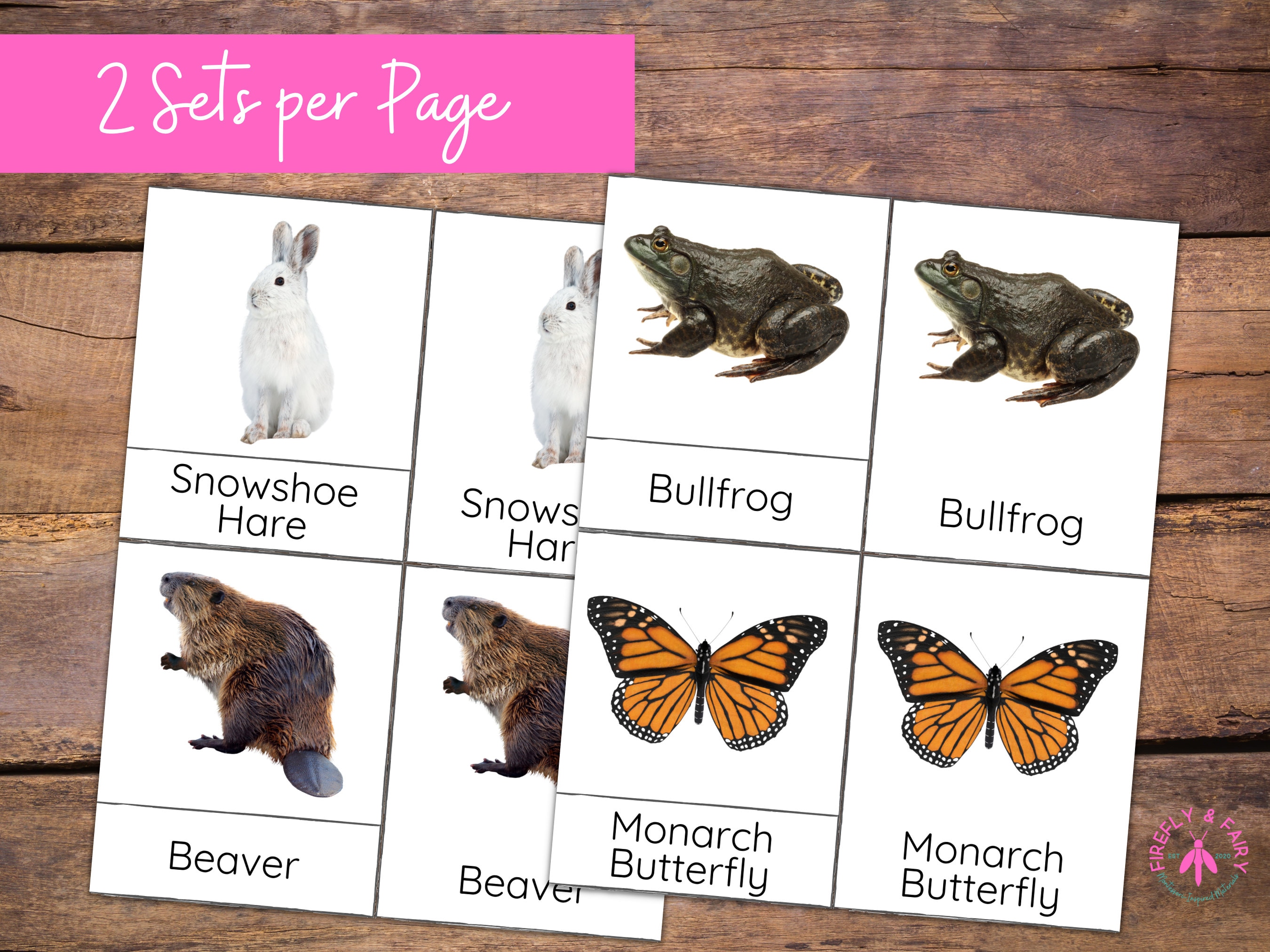 Adapt Migrate or Hibernate? North American Animals Montessori 3-part ...