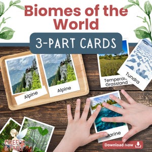 Può includere: Vassoio di legno con carte a 3 parti "Alpine", con paesaggi montani. Altre carte mostrano ambienti "Temperate Grassland", "Tundra" e "Marine". Il testo "Biomes of the World" e "3-PART CARDS" è in alto. Il testo "Download Now" è in basso.