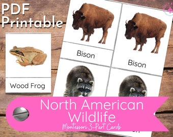 North American Wildlife Montessori 3-Part Cards Flash Card Activity Animal Science Toob Hands-On Independent Learning Activity