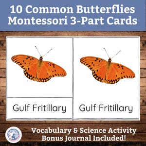 Juego de tarjetas de mariposas en el patio trasero (tres partes) y diario de estudio de la naturaleza imprimible / Charlotte Mason Homeschool / Juego de emparejamiento de ciencias Montessori