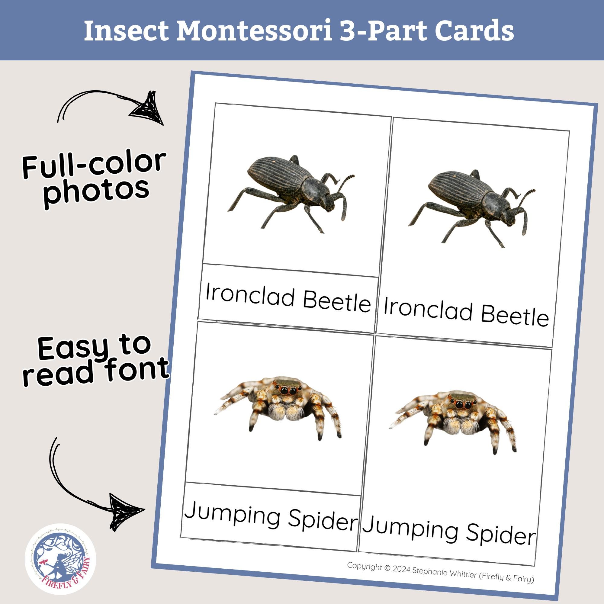 Insect Montessori Science 3-part Cards, Bug Flash Cards, Printable ...