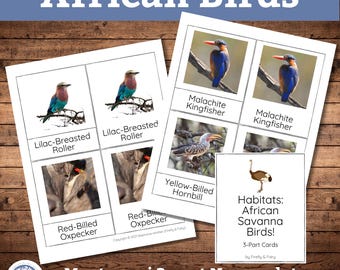 African Birds Montessori Science 3-Part Cards, Printable Homeschool Science Activity, Animal Flash Cards, Bird Unit Study, Digital Download