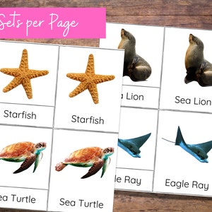 Ocean Themed Montessori Nomenclature Cards With 12 Marine Animals ...