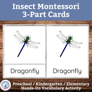 Tarjetas de ciencias Montessori de 3 partes sobre insectos/Tarjetas didácticas de ciencias para niños/Actividad de vocabulario/Actividad científica para la educación en casa