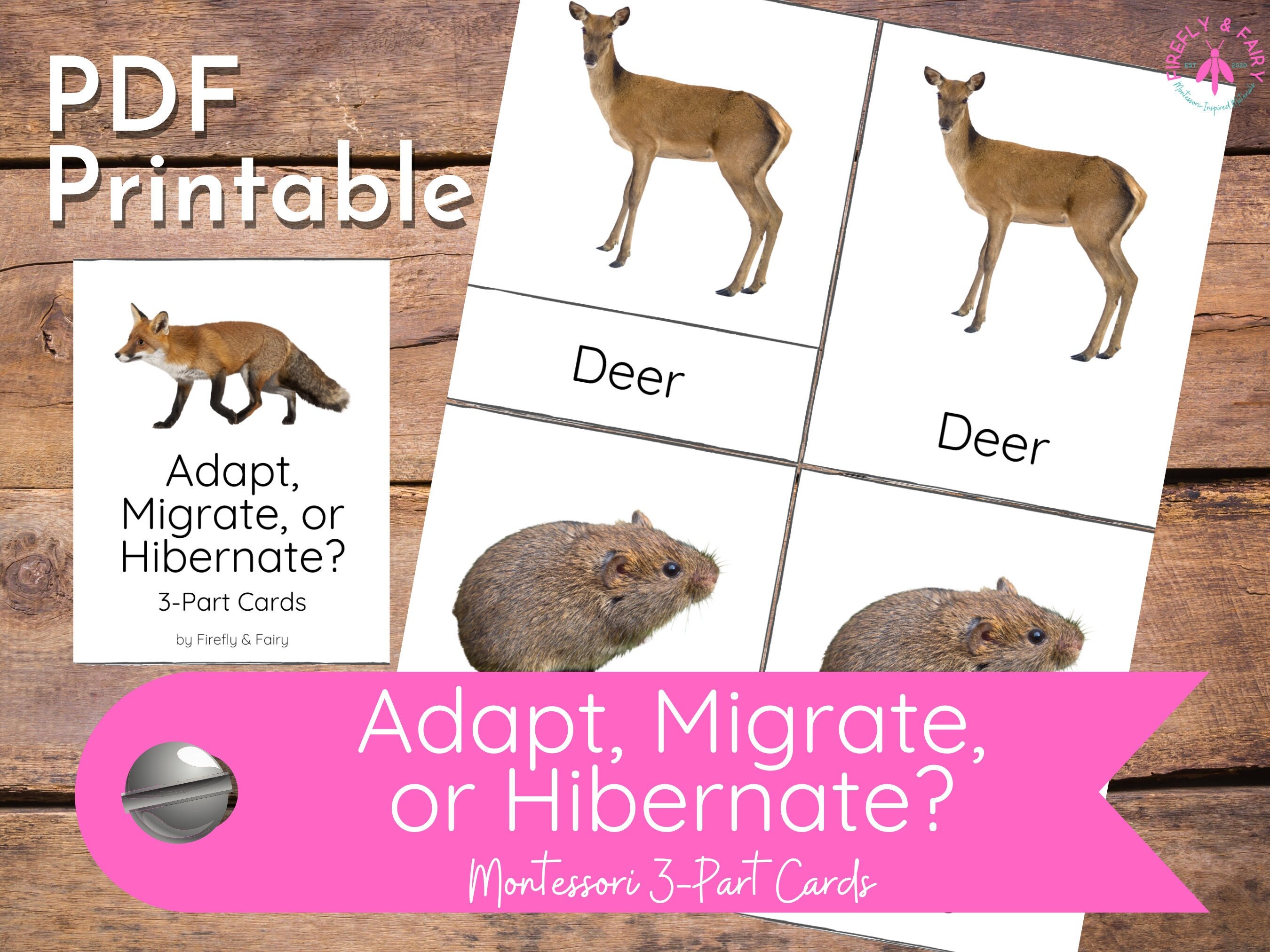 A Restoration Tale: Ruminants Small and Large Help Regenerate Depleted  Prairie – Noble Research Institute, image size:2700x2025