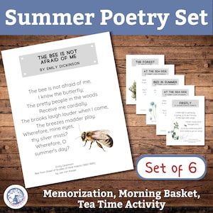 Summer Poems / Introduction to Poetry Worksheet Printable / Elementary / Charlotte Mason Tea Time /Homeschool Morning Basket / Nature Study