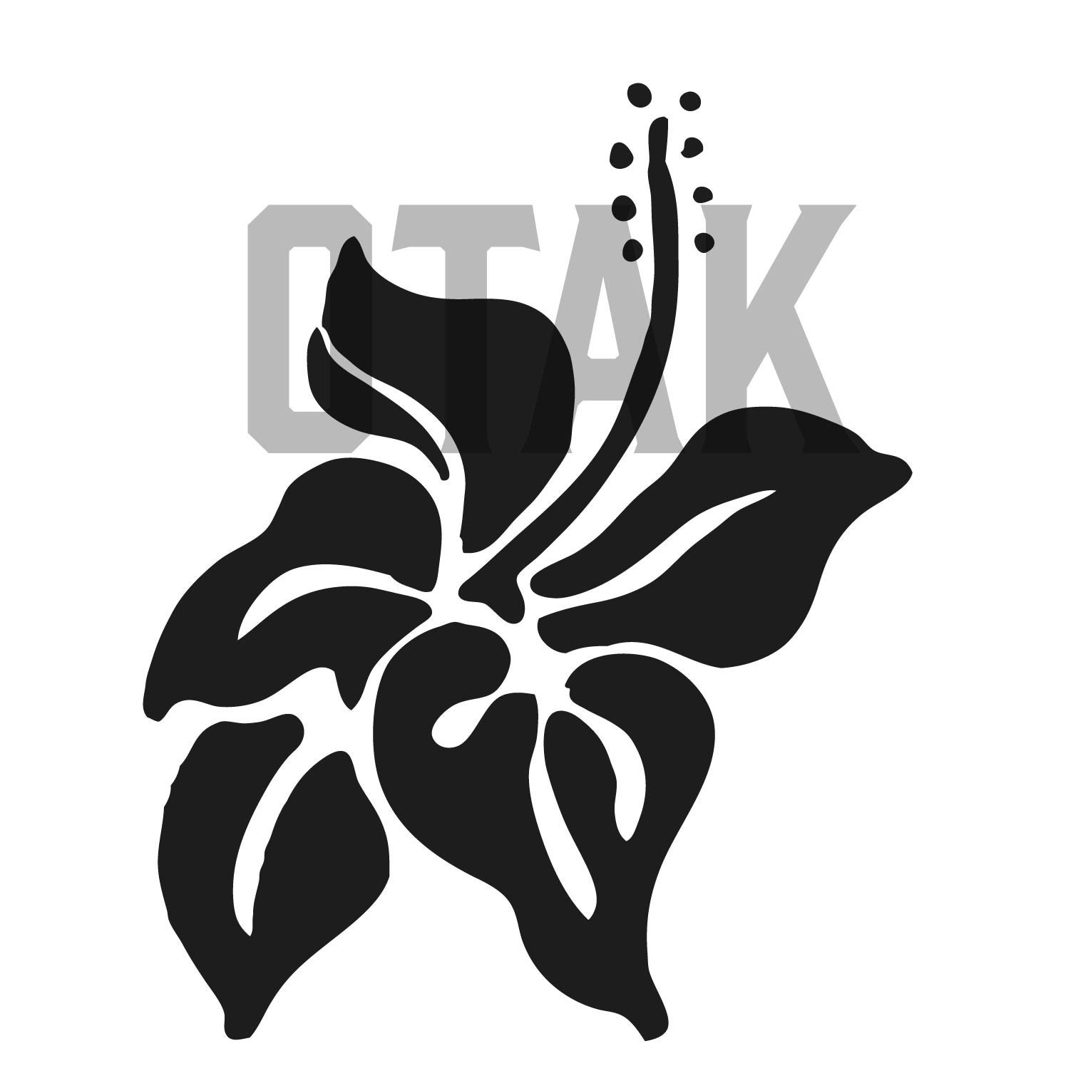 Hawaiian Flowers | Hibiscus Flowers SVG and PNG Graphic - Etsy