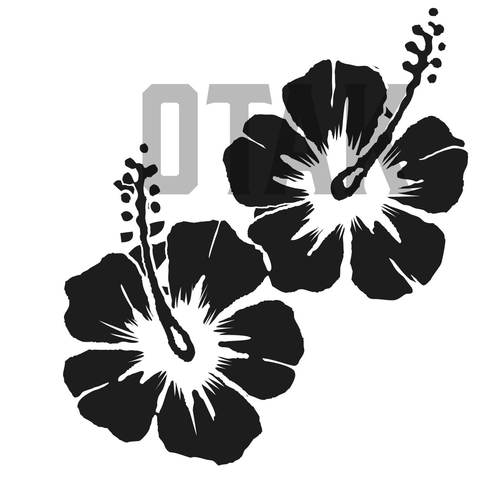 Hawaiian Flowers | Hibiscus Flowers SVG and PNG Graphic - Etsy