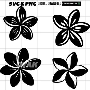 Plumeria Flower With Polynesian Tribal Pattern SVG and PNG Graphic ...