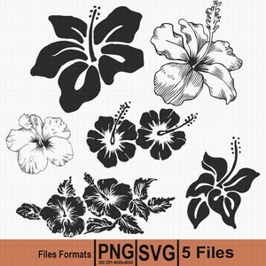 Hawaiian Flowers | Hibiscus Flowers SVG and PNG Graphic