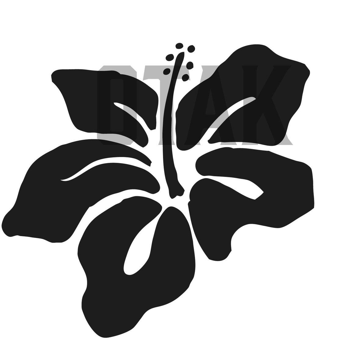 Hawaiian Flowers | Hibiscus Flowers SVG and PNG Graphic - Etsy