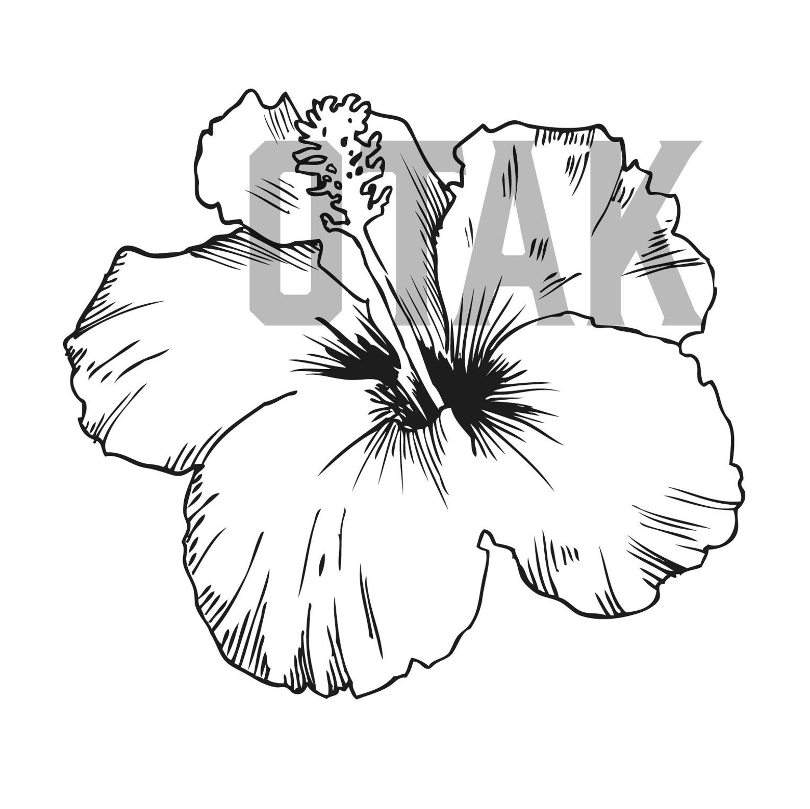 Hawaiian Flowers | Hibiscus Flowers SVG and PNG Graphic - Etsy