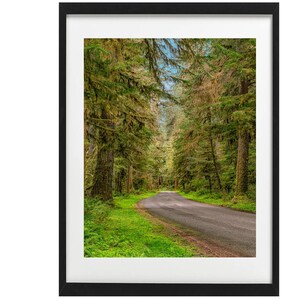 Forest, Hoh, Washington, Rainforest, Coastal, Nature, Landscape, Printable, Photography, Woodland,Rain, Flora, Northwest, Poster, Wall Art